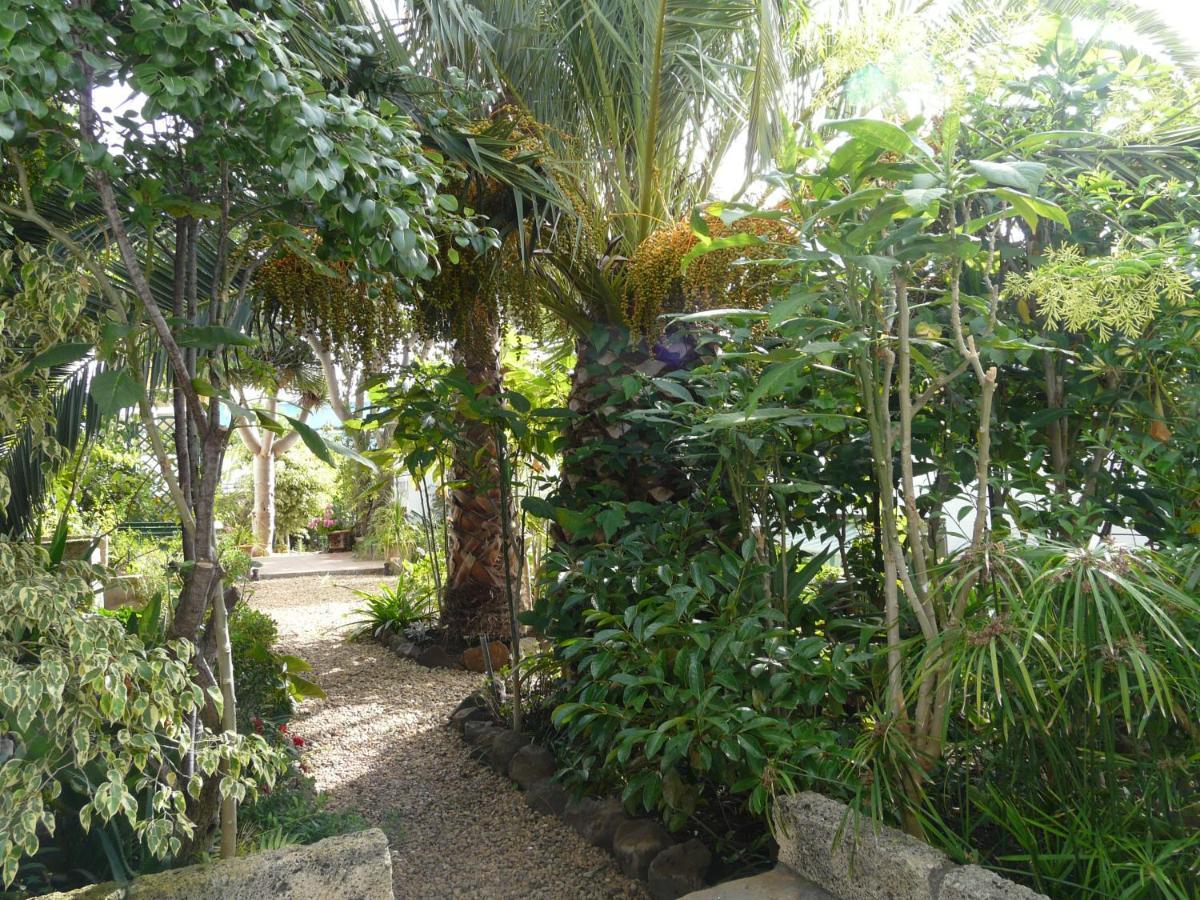 סאוסאל Casa Flora Loft Studio מראה חיצוני תמונה