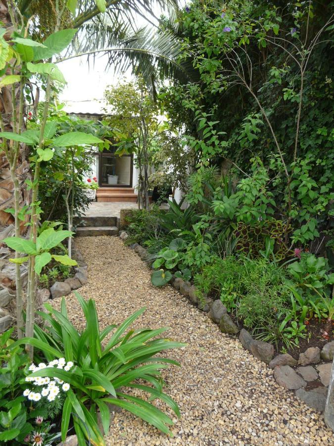 סאוסאל Casa Flora Loft Studio מראה חיצוני תמונה