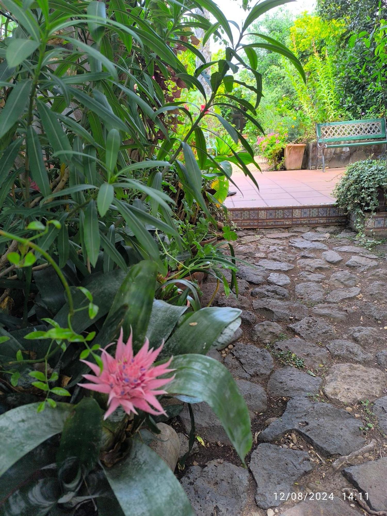 סאוסאל Casa Flora Loft Studio מראה חיצוני תמונה