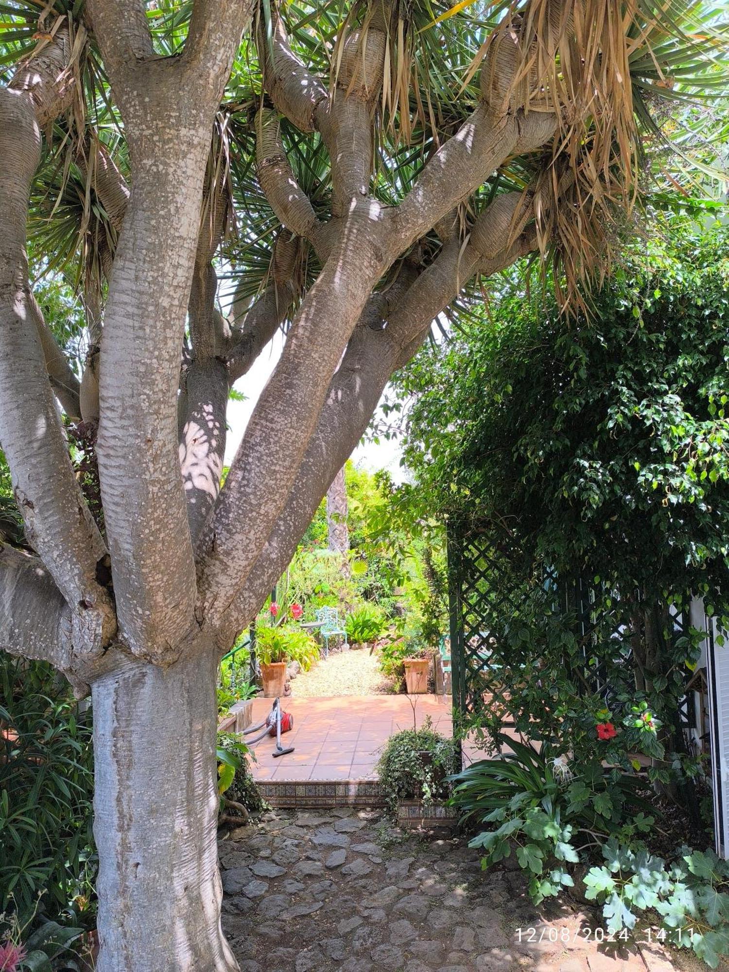 סאוסאל Casa Flora Loft Studio מראה חיצוני תמונה